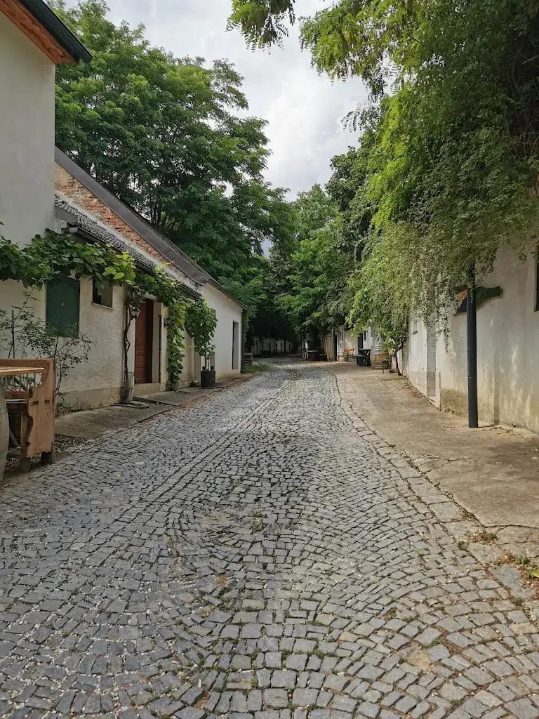 Anita Rosenbichler-Schneider_Radykölla_Poysdorf_review