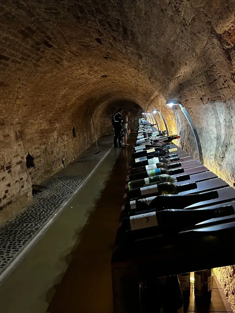 Wino_Poysdorf_slider_image_2