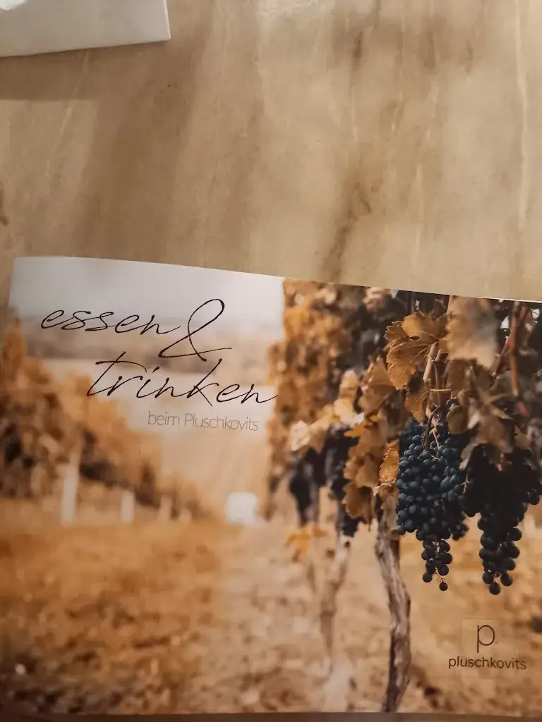 Marina Guttler_Weingut Pluschkovits_Leithaprodersdorf_review