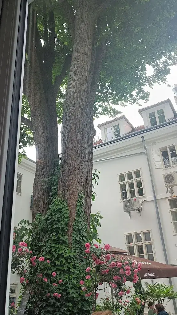 Mandas to go_Politischer Bezirk Sankt Pölten_slider_image_2