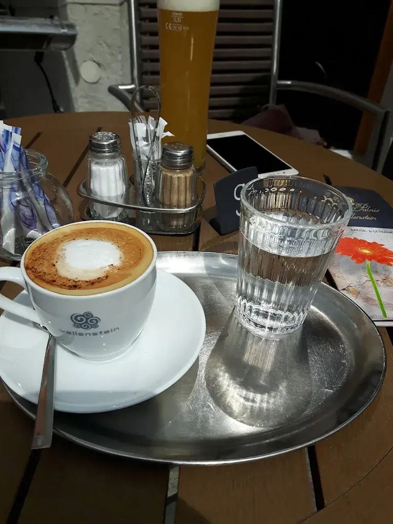 Menu_Café at the Palais Wellenstein_Politischer Bezirk Sankt Pölten_image_6