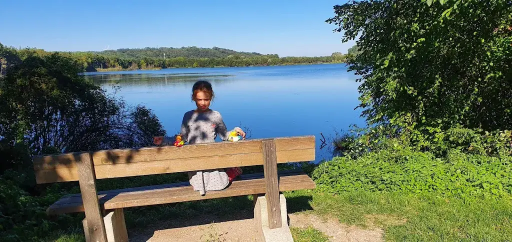 חופית אברגיל-בלומשטיין_Seedose_Pottenbrunn_avis