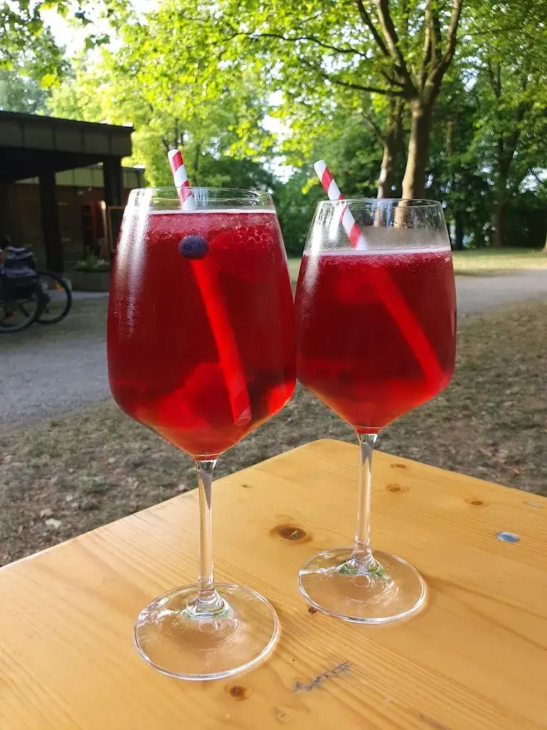 Menu_ROBINSON‘S - der Traisentreffpunkt._Pottenbrunn_immagine_6