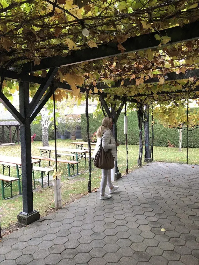 Michael Kaloumenos_Weingut & Rustikalschenke Tinhof_Leithaprodersdorf_review