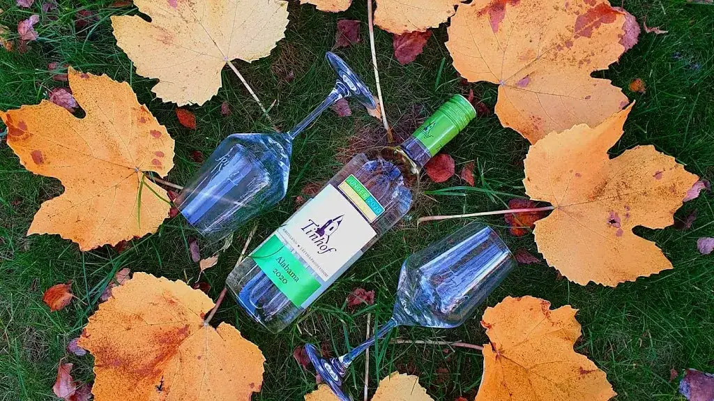 Weingut & Rustikalschenke Tinhof_Leithaprodersdorf_slider_image_2