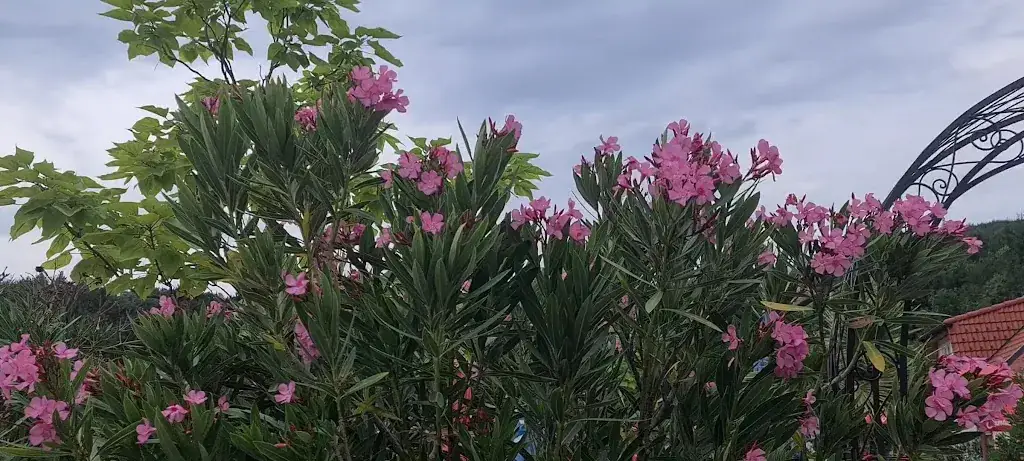 Gasthaus Steinerhof_Pressbaum_slider_image_2