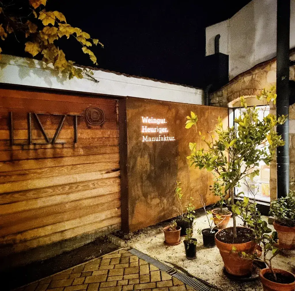 Natasha Reykherdt_LISZT Weingut Heuriger Manufaktur_Leithaprodersdorf_recensione