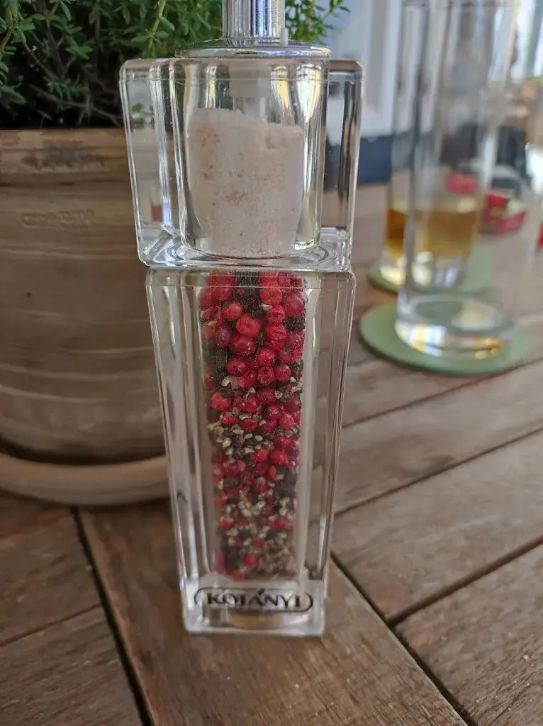 René_Hallerstub'n_Puchenstuben_recensione