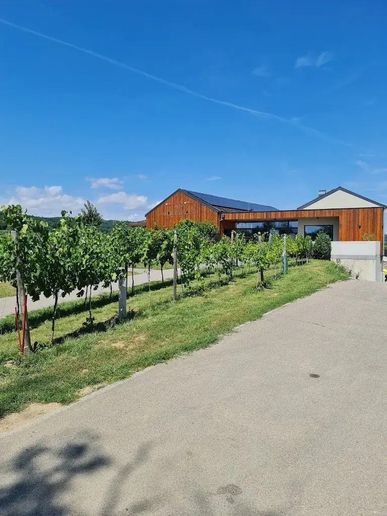 Michail SOUSLOV_Weinterrasse Pulkau_Pulkau_review