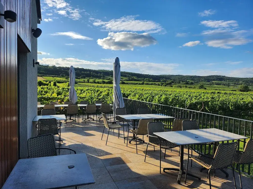 Weinterrasse Pulkau ristorante a Pulkau