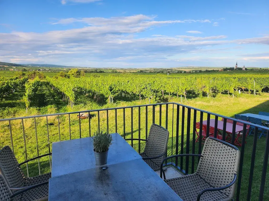 Weinterrasse Pulkau_Pulkau_slider_image_2