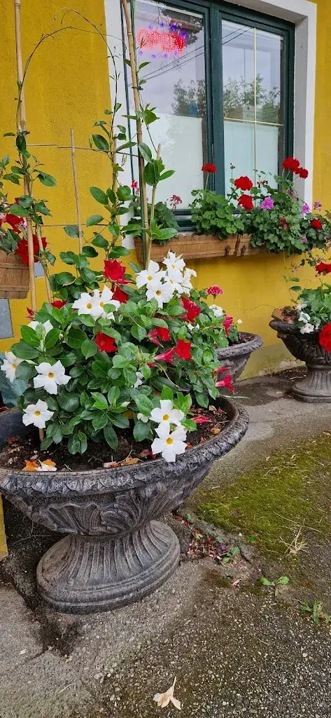 Elena Dumitrjuk_Landgasthaus Elisabeth_Pyhra_review