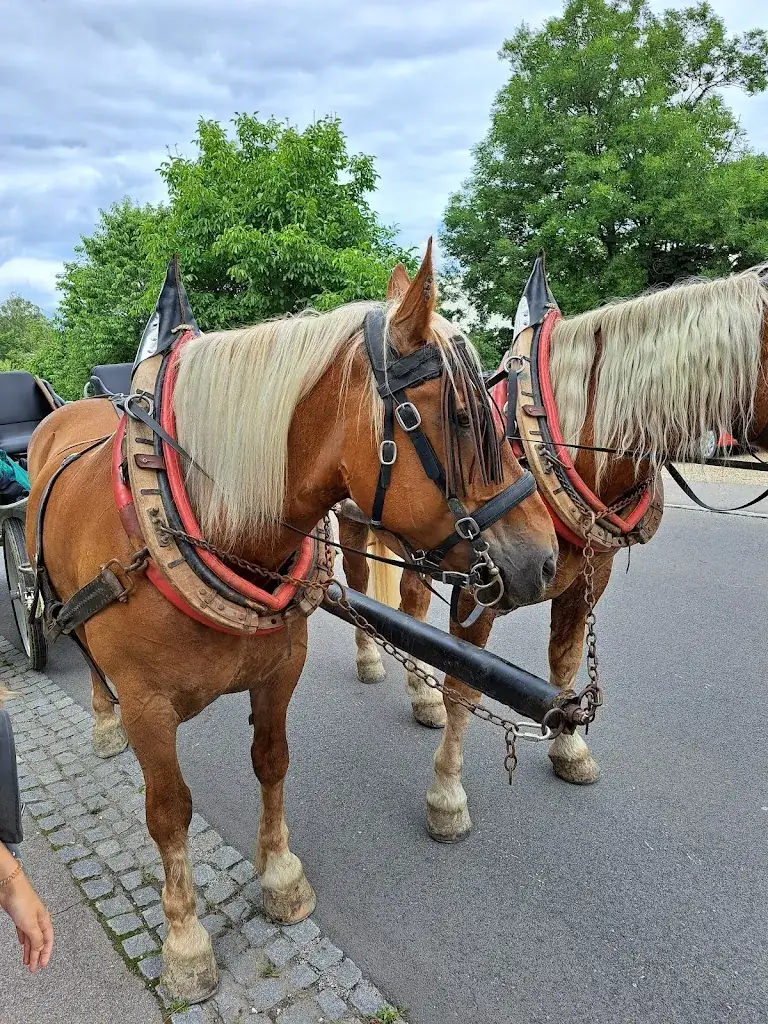 Landgasthaus Elisabeth_Pyhra_slider_image_2