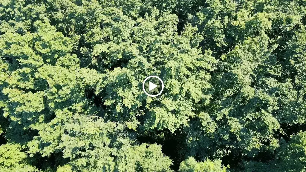 Terrazza - Restaurant am See_Pyhra_slider_image_2