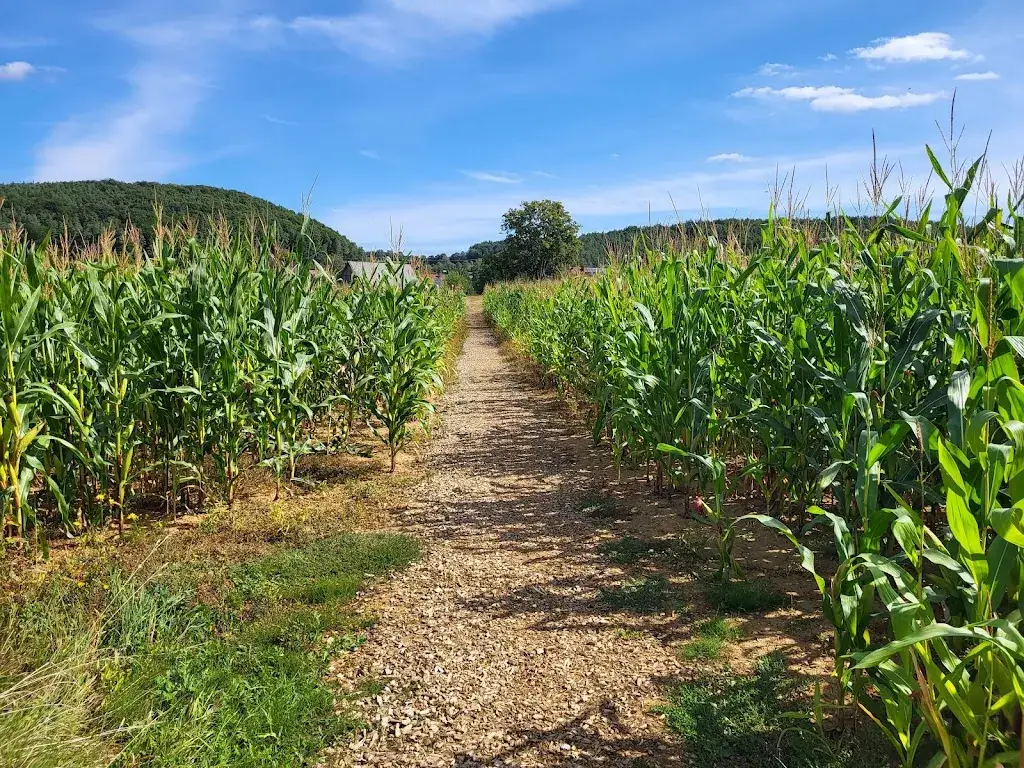 C. Auth_Brotzeitstüber‘l_Pottenstein_Bewertung