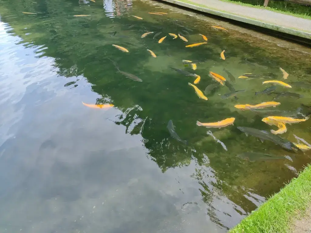 Jan_Heiner's Forellenräucherei_Pottenstein_avis