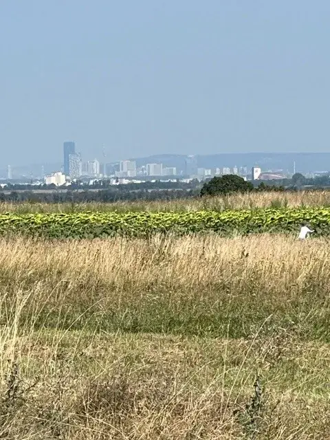 Mike Engelhardt_Hotel Bauer_Rauchenwarth_review