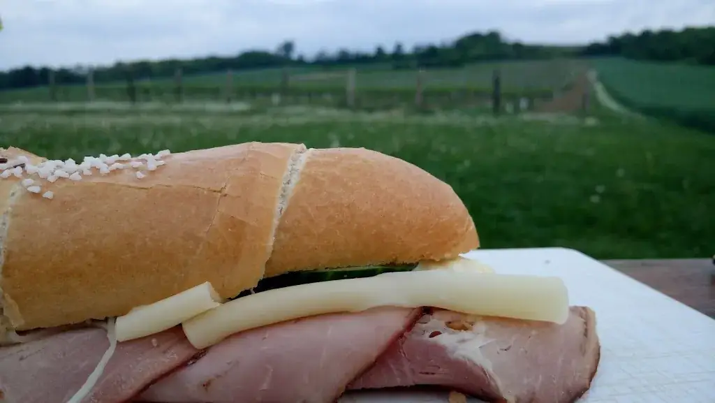 Gilbert Eberhard-Gradnig_Heuriger Kugler_Ravelsbach_recensione