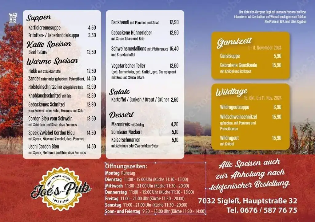 Menu_Joe's Pub_Krensdorf_image_1
