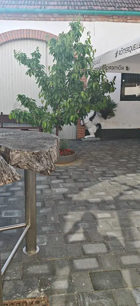 Robert Arbesser_Oleander Heuriger_Reisenberg_recensione