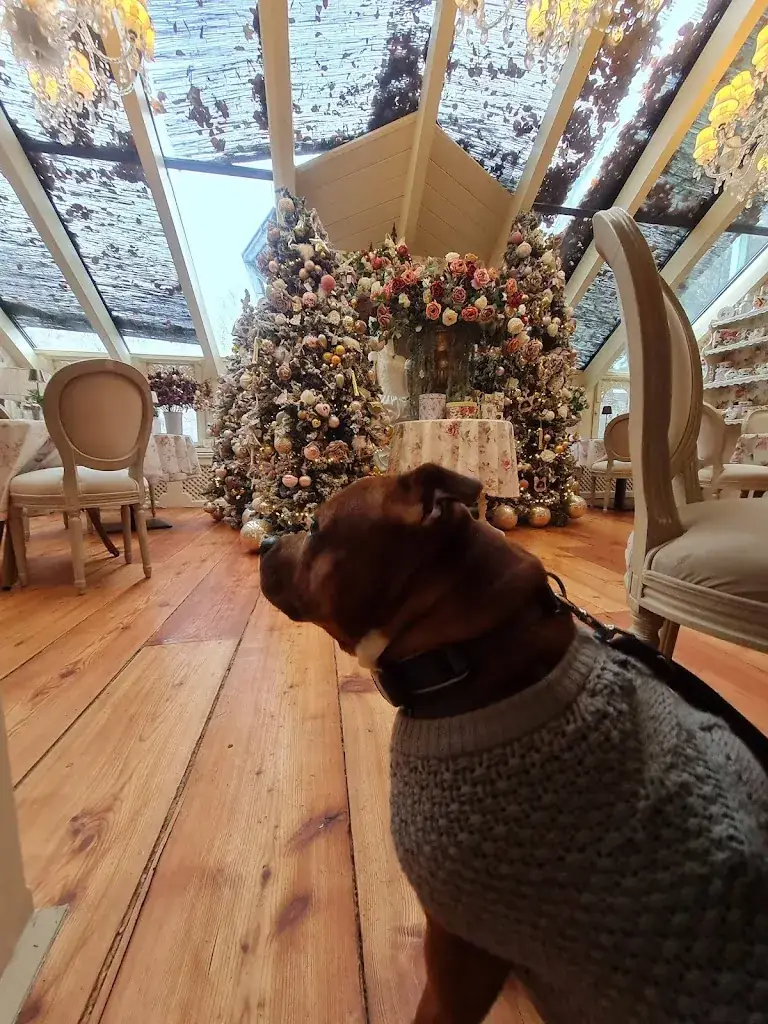 Michaela Malásková_Schlossgärtnerei Wartholz_Reichenau an der Rax_review