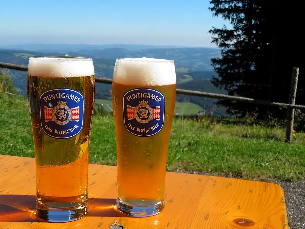 Sumpis Hütte_Sankt Corona am Wechsel_slider_image_2