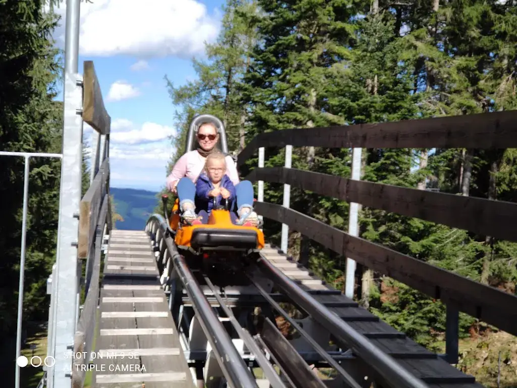 Mihai Bojonca_Sommerrodelbahn St. Corona am Wechsel_Sankt Corona am Wechsel_avis
