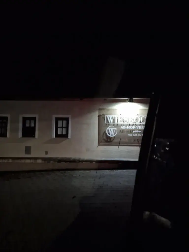 Beniamin Bobric_Ab Hof Wiesböck_Scharndorf_avis