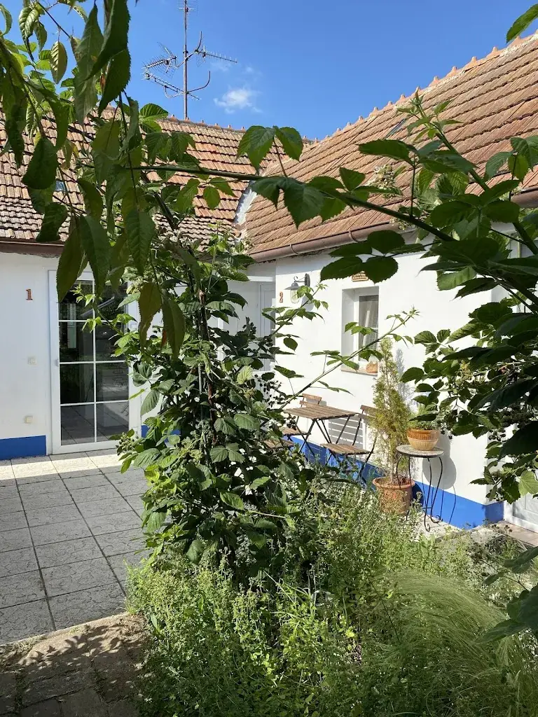 Lenka Š_Chalupka_Schrattenberg_recensione