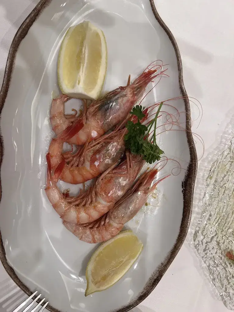 Nader Shamia_Gaditana Retiro_Loipersbach im Burgenland_review