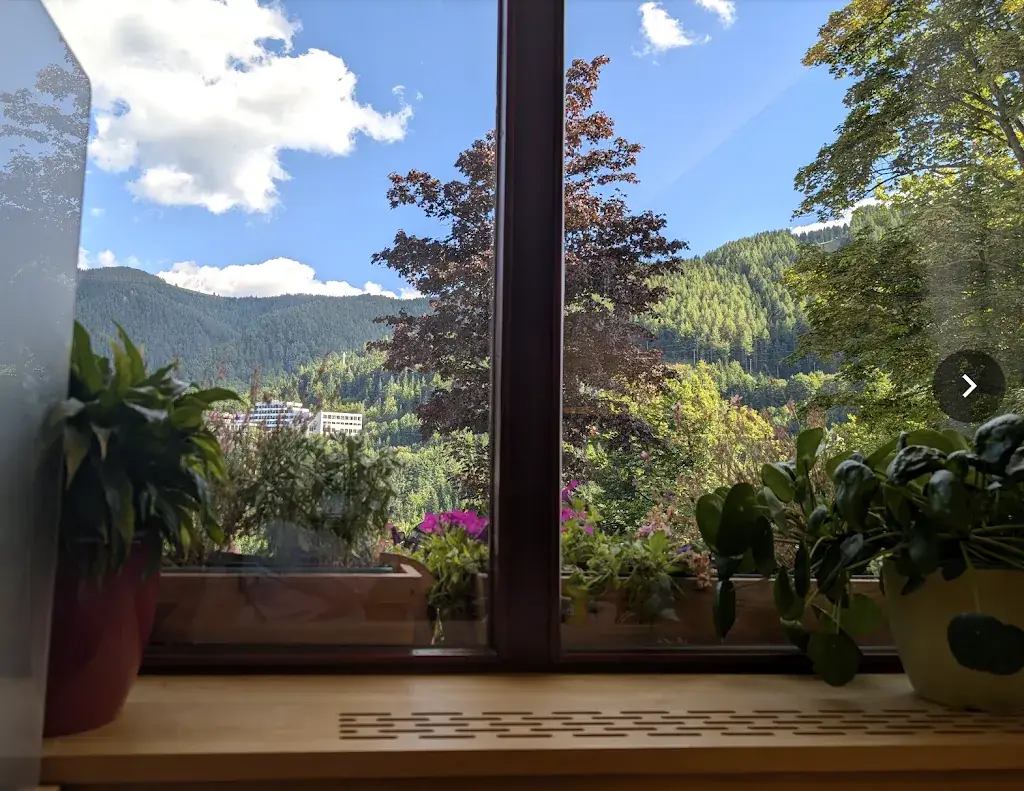 Rohit Rawat_Belvedere_Schottwien_review