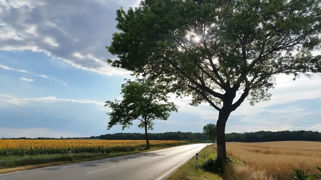 Gasthaus Wolfgang Wehofer_Schwadorf_slider_image_2