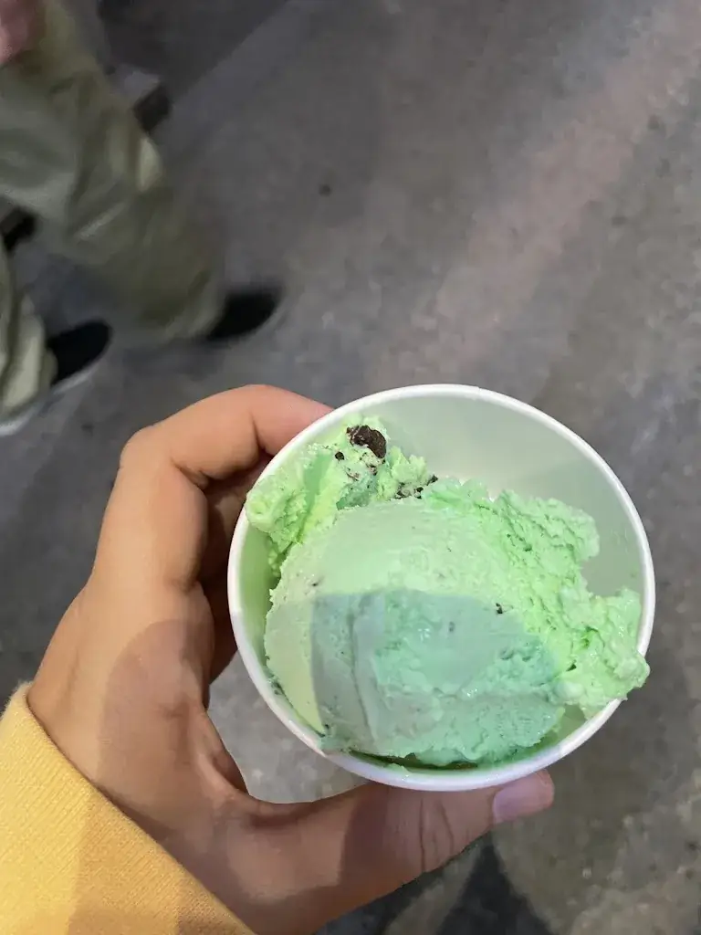 Alex Donithan_Cafe Salotto_Schwadorf_review