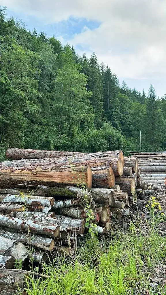 Ilona Kecskeméti_Apartments Haslaustube_Schwarzenbach an der Pielach_recensione