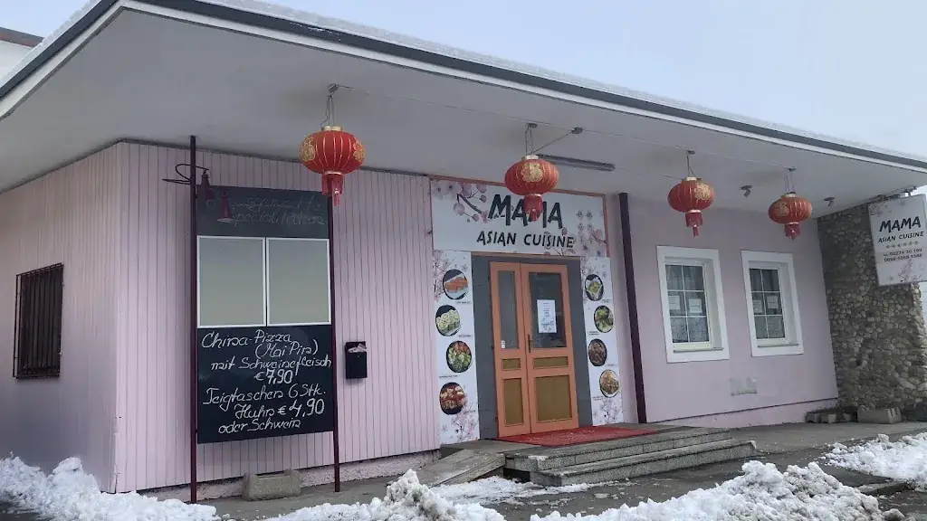 Mama Asian Cuisine_Sieghartskirchen_slider_image_2