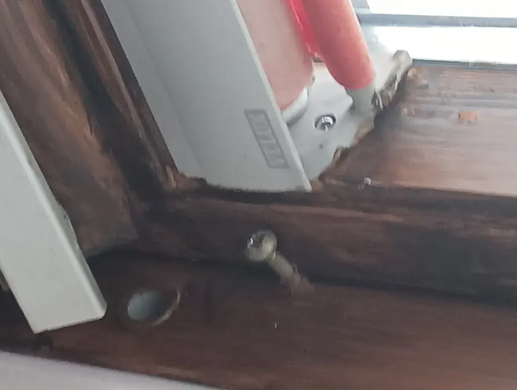 Rafal Nowak_Goldener Adler Hotel und Landgasthof GmbH_Sierndorf_avis