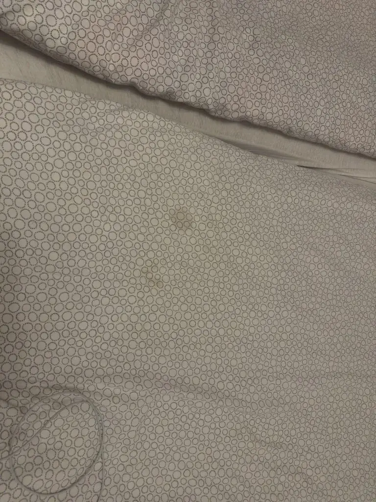 Lukas Sessler_Goldener Adler Hotel und Landgasthof GmbH_Sierndorf_avis