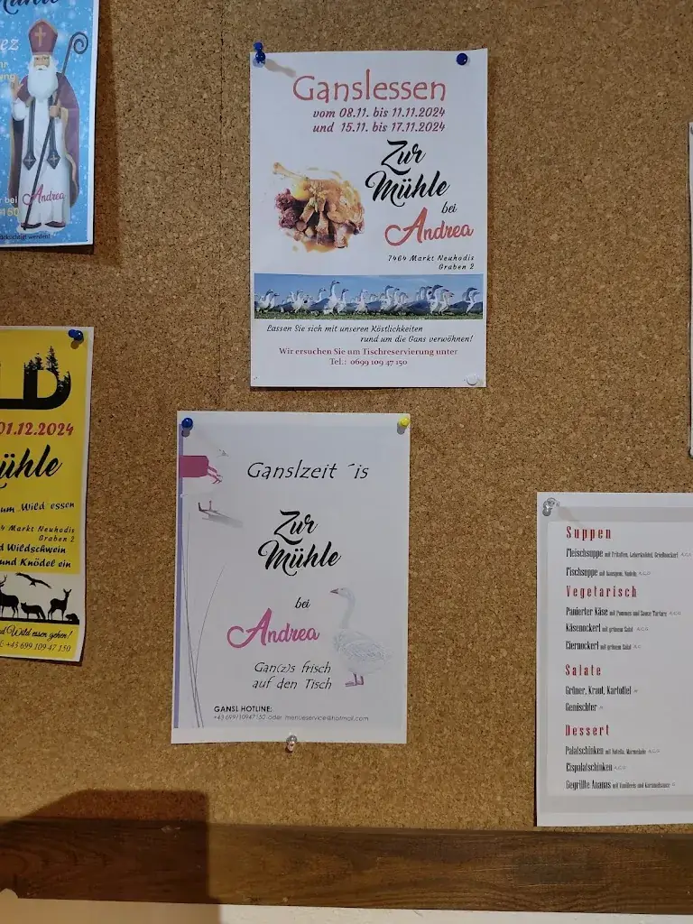 Menu_Zur Mühle Andrea_Markt Neuhodis_immagine_4