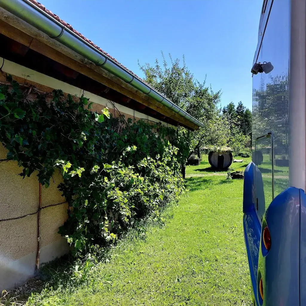 Sabine_Mostheuriger Schwingenschlögl, Neudaumühle_Seitenstetten Markt_review