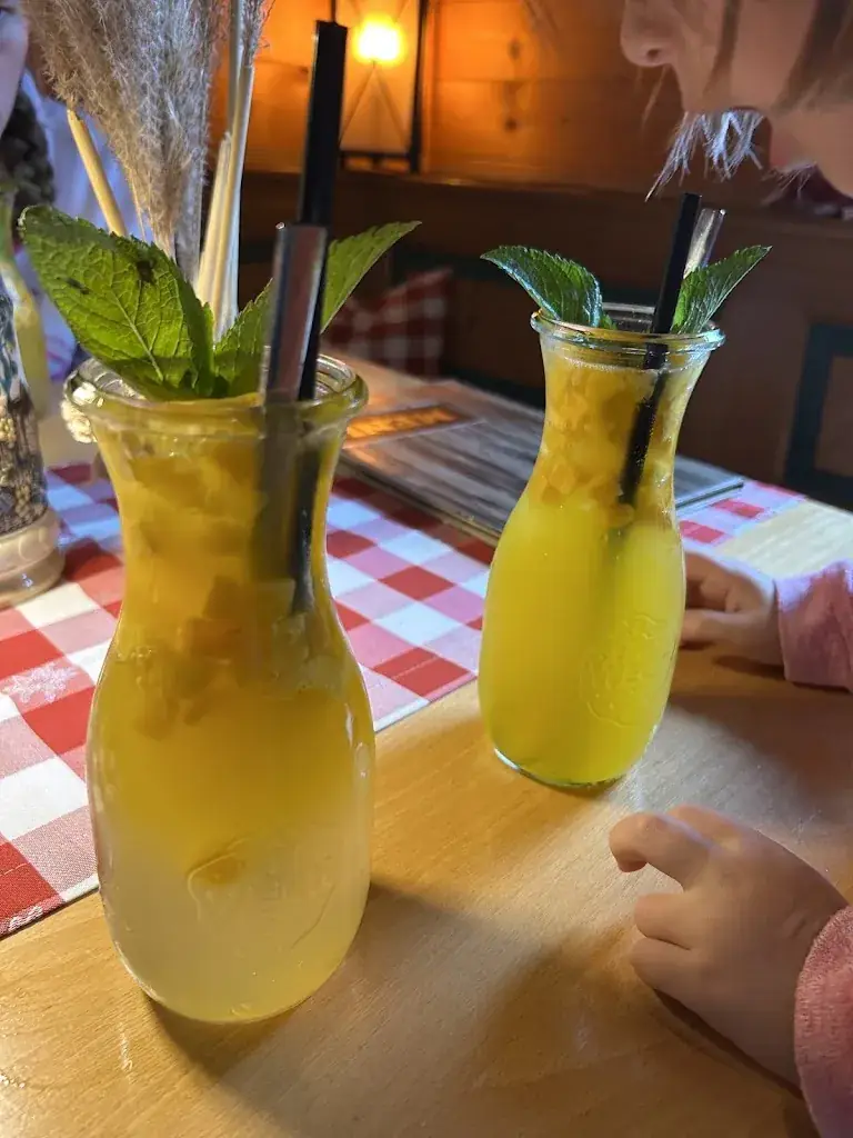 urselMEINhamster_Stadl Senftenberg_Senftenberg_review