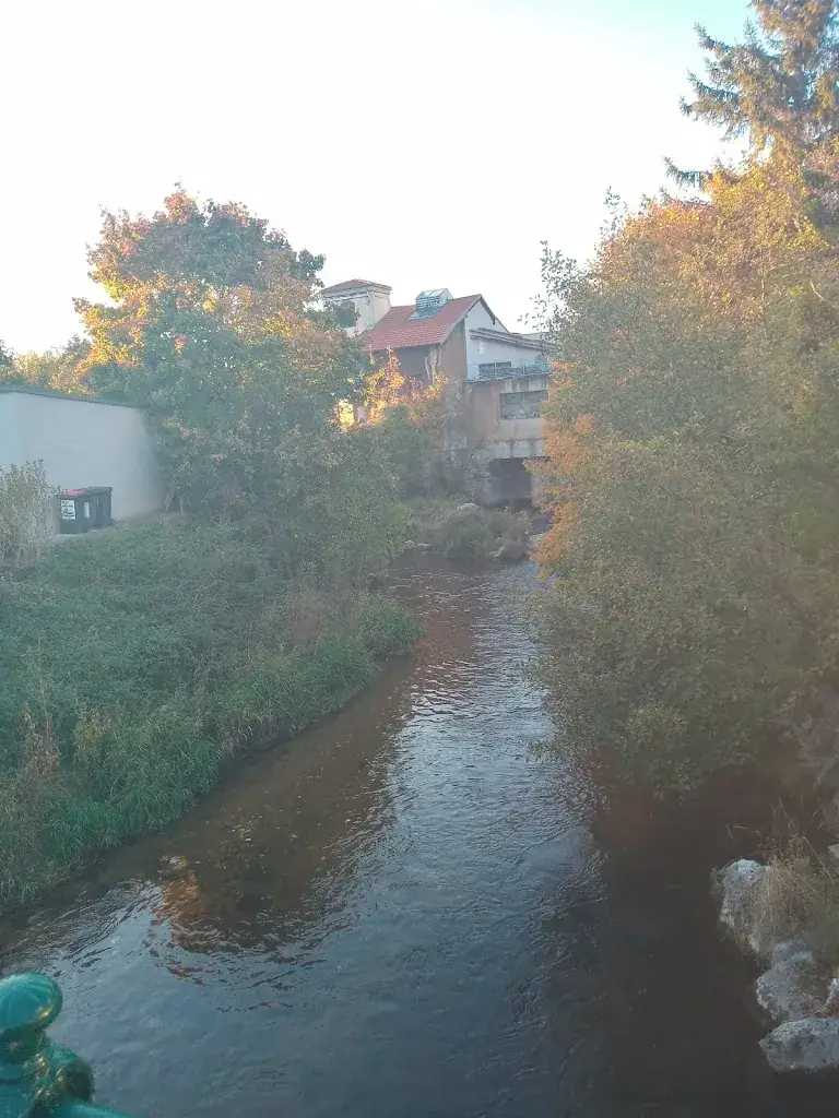 M. M._Weinheuriger-Weingut Gaitzenauer_Steinabrückl_recensione