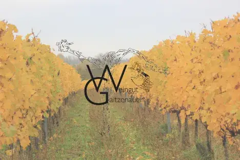 Weinheuriger-Weingut Gaitzenauer_Steinabrückl_slider_image_3