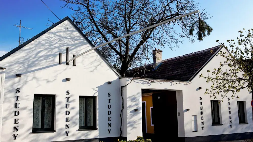 Weingut - Heuriger Studeny_Sooss_slider_image_3