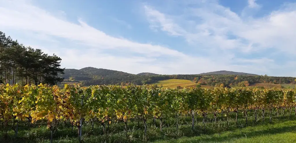 Plos und Freunde_Sooss_slider_image_3