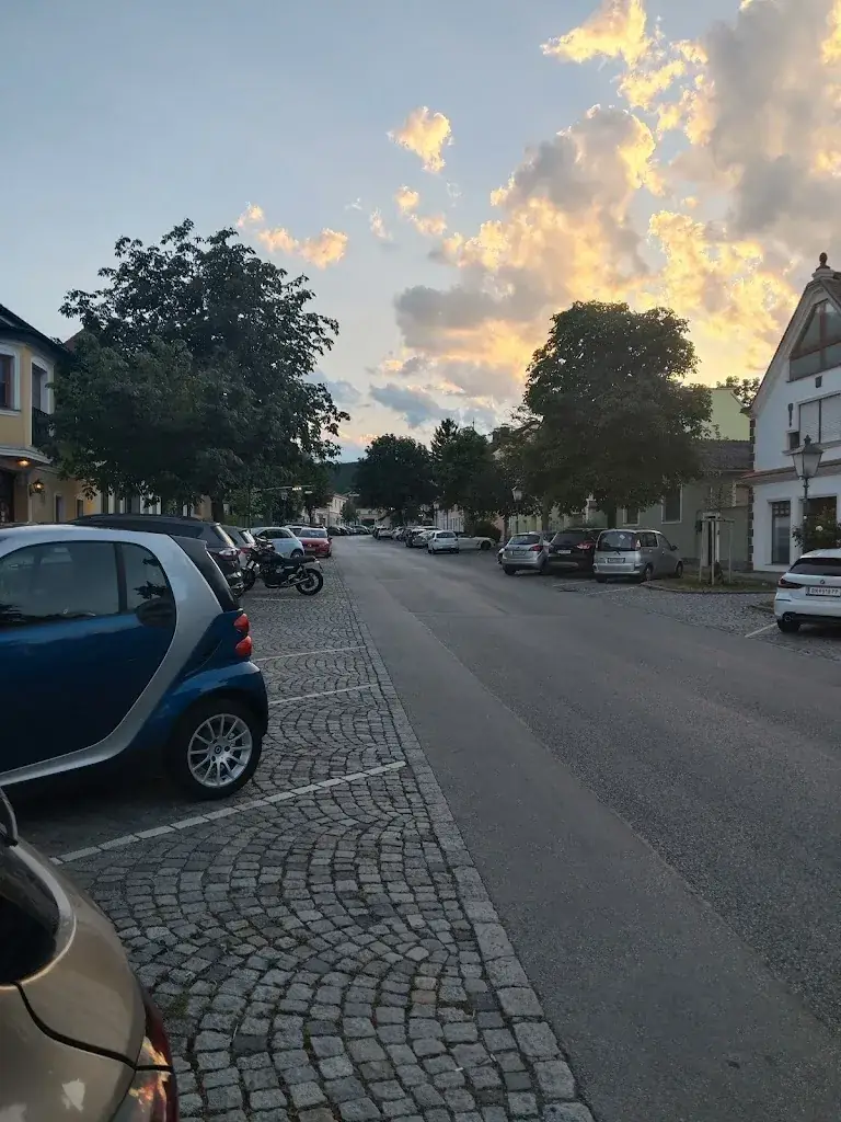 Gassi senior_Weingut Drimmel Urbanuskeller_Sooss_avis