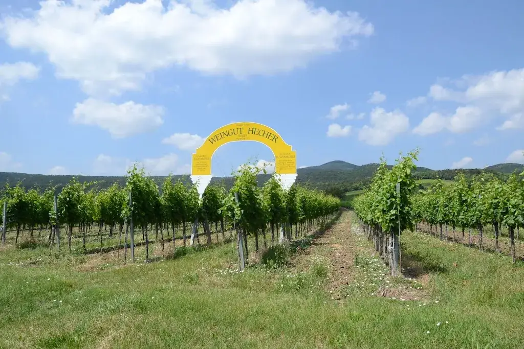 Weingut Hecher restaurant à Sooss