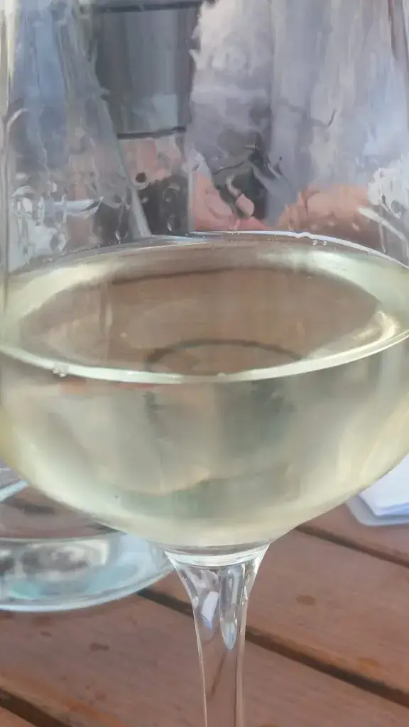 Menü_Weinbau Husar_Sooss_Bild_7