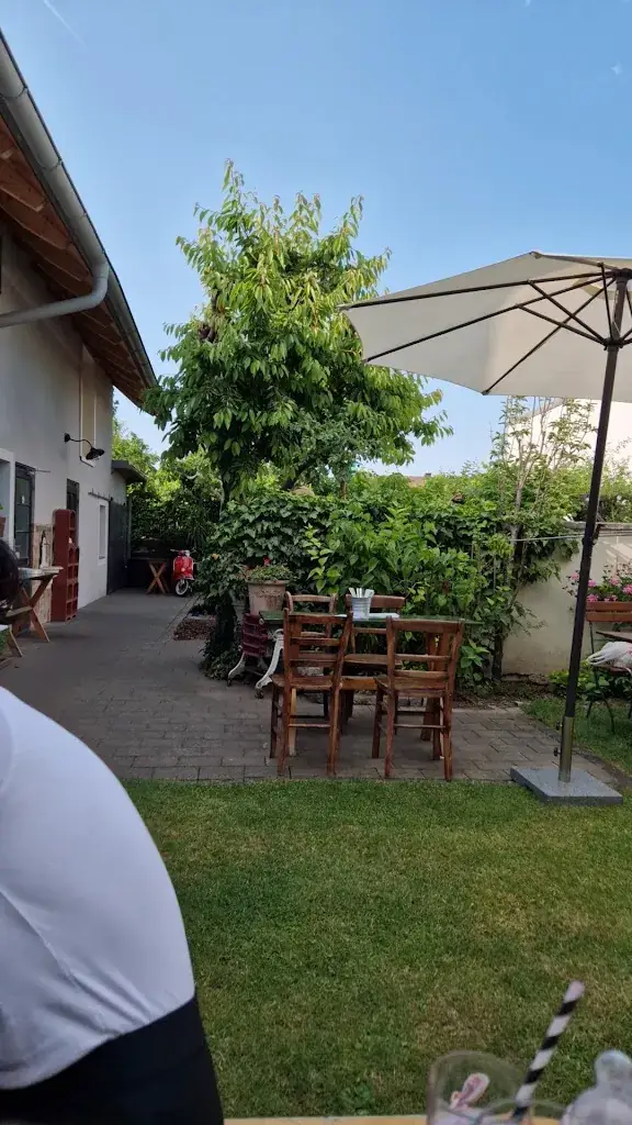 Weinbau Husar_Sooss_slider_image_2