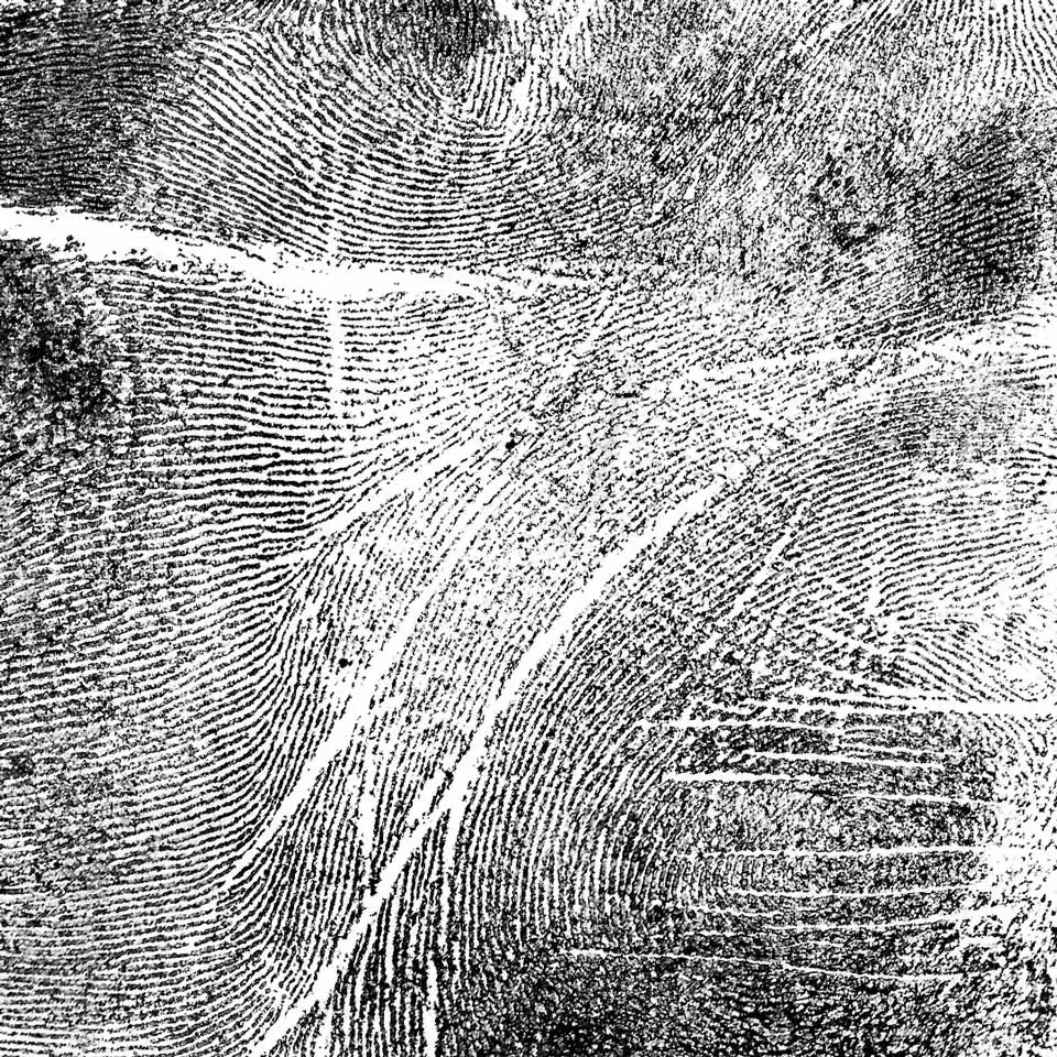 Weingut & Heuriger PLOS_Sooss_slider_image_3