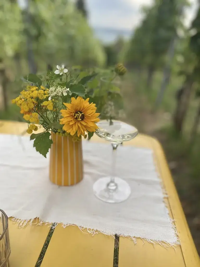 Anamaria M_Fräulein Seegucker_Stetten_review